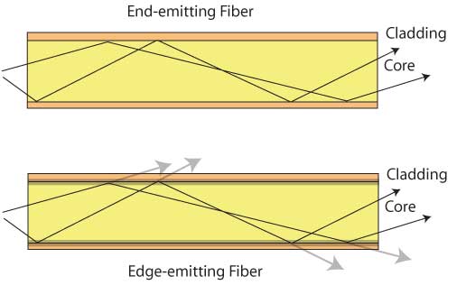 fiber types